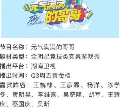 最新爆料的综艺有哪些名字,盘点那些令人期待的名字大公开